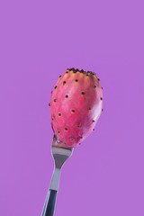Fresh mature opuntia or prickly pears isolated on purple background, pop-art, minimal concept