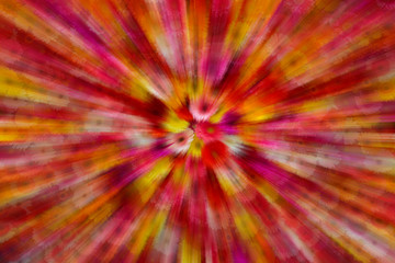 Red, pink, yellow and white asters. Floral background.