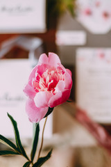 bouquet of pink peonies and book