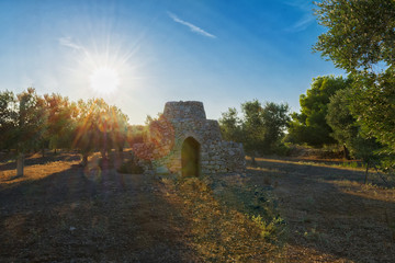 View of conical roof of traditional stone trullo house in Alberobello in the Itria Valley, Puglia....