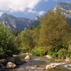 Carpathian Mountains, Bucegi Mountains, Busteni, Prahova, Romania