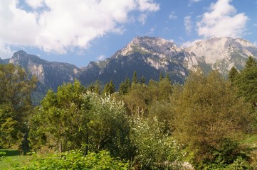 Fototapeta na wymiar Carpathian Mountains, Bucegi Mountains, Busteni, Prahova, Romania