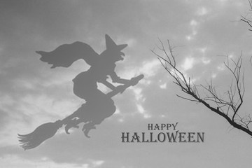 Dry tree branches on sky background halloween