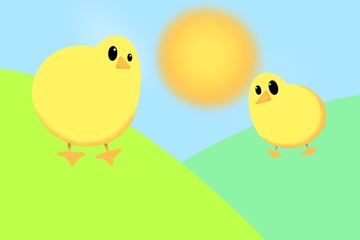 chicks on colourful background 