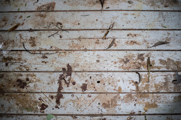 old wood texture background