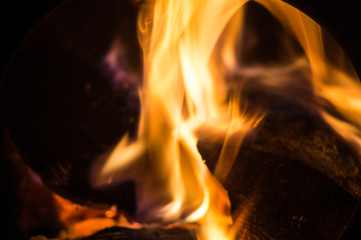 Bonfire, close-up of burning wood