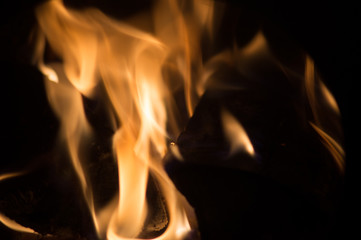 Bonfire, close-up of burning wood