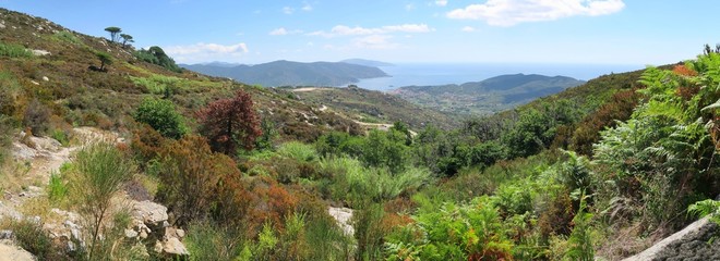 landscape near Marina di Campo in south part of island Elba in Italy