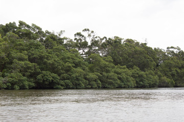 Preguiça's River - Leçóis Maranhenses Maranhão Brazil
