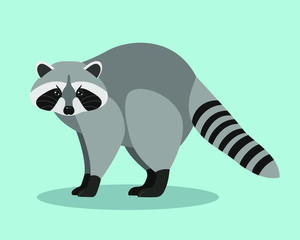 Funny  raccoon on blue background, cartoon character, flat design. Animals, nature, zoo. Vector illustration. EPS10