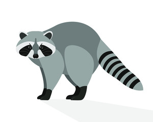 Funny  raccoon, cartoon character, flat design. Animals, nature, zoo. Vector illustration. EPS10