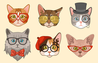 Cat heads. Cute funny cats avatar muzzles with accessories, glasses and hats, bow tie. Happy hipster pets vector characters