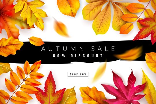 Autumn sale. Seasonal fall discount advertising concept with red and orange foliage. Thanksgiving offer flyer. Vector promotion banner