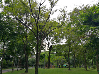 Bangkok - Santiphap Park (Peace Park)