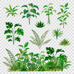 Green herbal elements. Decorative beauty nature ferns and leaf plants or herbs greens isolated vector set - obrazy, fototapety, plakaty
