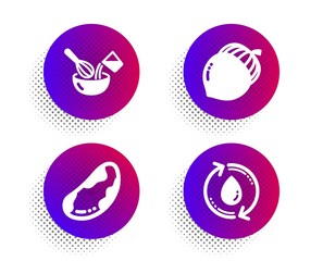 Brazil nut, Acorn and Cooking whisk icons simple set. Halftone dots button. Refill water sign. Vegetarian, Oaknut, Cutlery. Recycle aqua. Food and drink set. Classic flat brazil nut icon. Vector