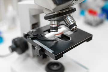 Closeup blood sample on glass in microscope.