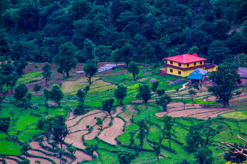 Green landscape with a house