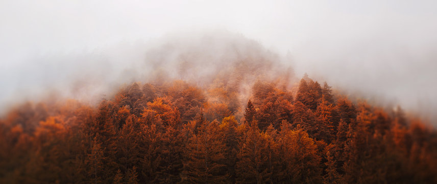 autumn - mountain in the fog