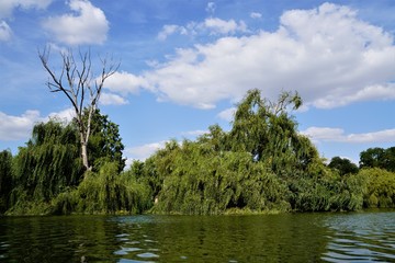 Fototapeta na wymiar Landscape in Tineretului Park from Bucharest