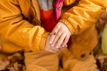A little boy in an autumn park sits on yellow leaves in a yellow jacket and holds a ladybug in children's hands. A red beetle crawls on the fingers of a child.