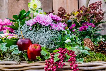 Fototapeta na wymiar Autumn floral arrangement with chrysanthemum, hellebore, berries, apples, moss and pine cones.