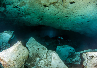 Scuba diving at the Cenote Jardin del Eden in Mexico