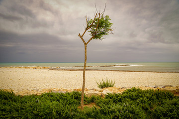 ALTEA, SPAIN - SEPTEMBER 12, 2019: Beautiful views of Altea with gorgeous sea and incredible nature 