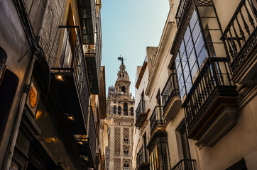 Naklejka premium View of Giralda tower of Cathedral of Saint Mary of the See, Seville Cathedral, through a narrow street, Andalucia, Spain