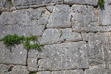 The ancient megalithic walls surround the acropolis of Amelia, in Umbria, Italy. Texture composed ofirregular huge blocks of stone. The grass grows between the interstices of the wall.