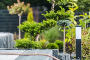 Residential Backyard Garden