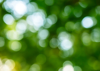 Obraz premium abstract bokeh natural background in green and blue colors