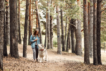 Fototapeta premium Woman Walking Dog. Young Girl with her Dog, Alaskan Malamute, Outdoor at Autumn. Domestic pet