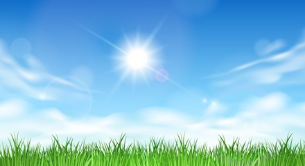 Fototapeta na wymiar Blue sky and grass background