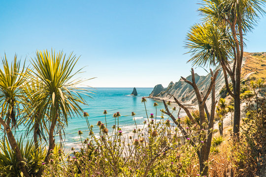 Cape Kidnappers