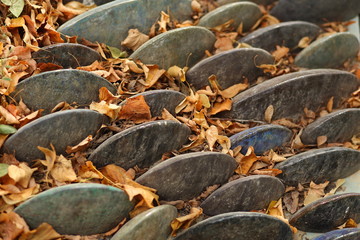 autumn leaves on ground