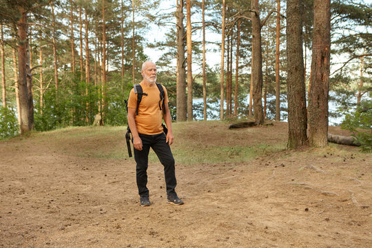 Full length image of elderly backpacker with gray beard standing on forest edge looking for place to light camp fire, having tired facial expression. People, retirement, active lifestyle and adventure