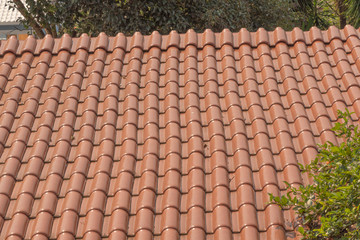 The geography of the roofs 03