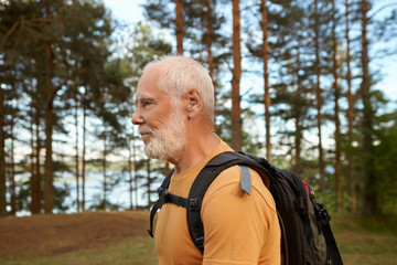 Obraz premium Side view of unshaven bald male pensioner with backpack hiking outdoors having thoughtful facial expression, choosing healthy active lifestyle, enjoying fresh air, walking among pine trees