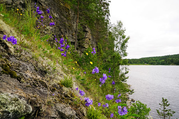 Fototapeta premium Bells on the mountainside in Ladoga skerries .