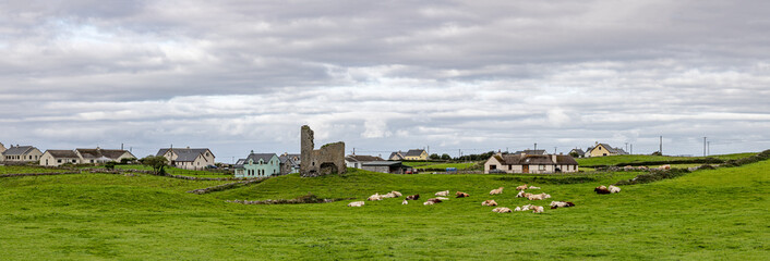 Farm field with cow herd and ruins