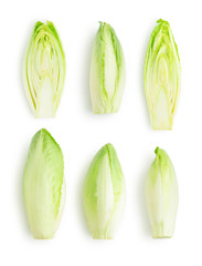 Fresh endive (Cichorium endivia)