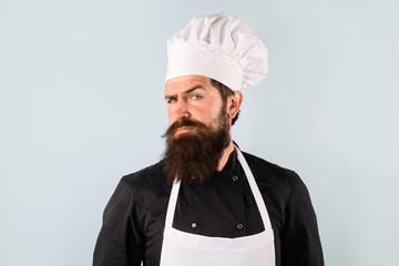 Cooking and food concept. Chief cook and professional culinary. Male chef. Food concept. Bearded...