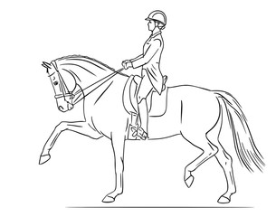 Equestrian sport, dressage, rider and horse