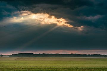Naklejka na ściany i meble Dark storm sky and open agriculture field during sunset. 