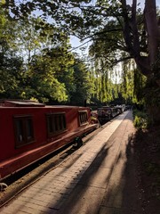 Obraz premium walking by the river