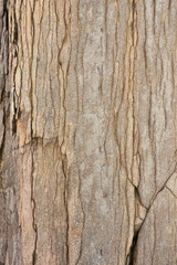 Stone surface