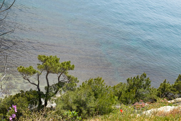 Seascape, view from the cliff, Tsemes bay
