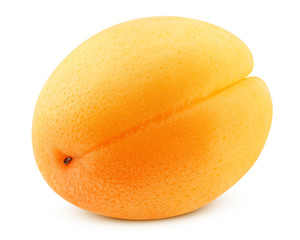apricot isolated on white background, clipping path, full depth of field