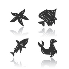 Sea animals drop shadow black glyph icons set. Starfish, butterflyfish, seal. Ocean wildlife. Aquatic tropical fish species. Undersea world. Oceanography and zoology. Isolated vector illustrations